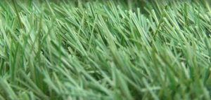 Artificial Turf, Artificial Grass, Synthetic Turf, Synthetic Grass, Artificial Lawn Turf