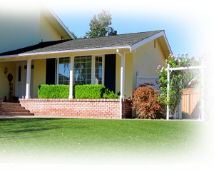 Artificial Turf, Artificial Grass, Synthetic Turf, Synthetic Grass, Artificial Lawn Turf, Artificial Lawn Grass