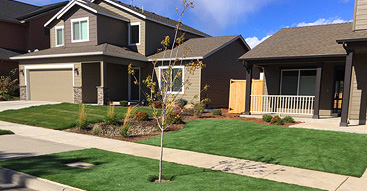 Artificial Lawn Turf - Genesis Turf