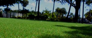 artificial grass synthetic turf dog grass