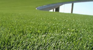 artificial grass synthetic grass