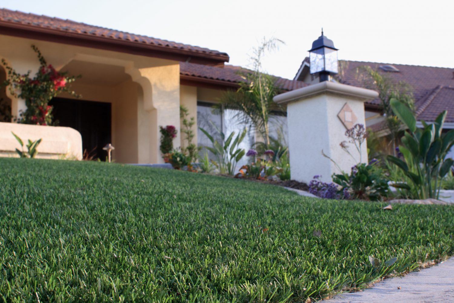 Artificial Grass Growing in Popularity in Tampa & Orlando Florida